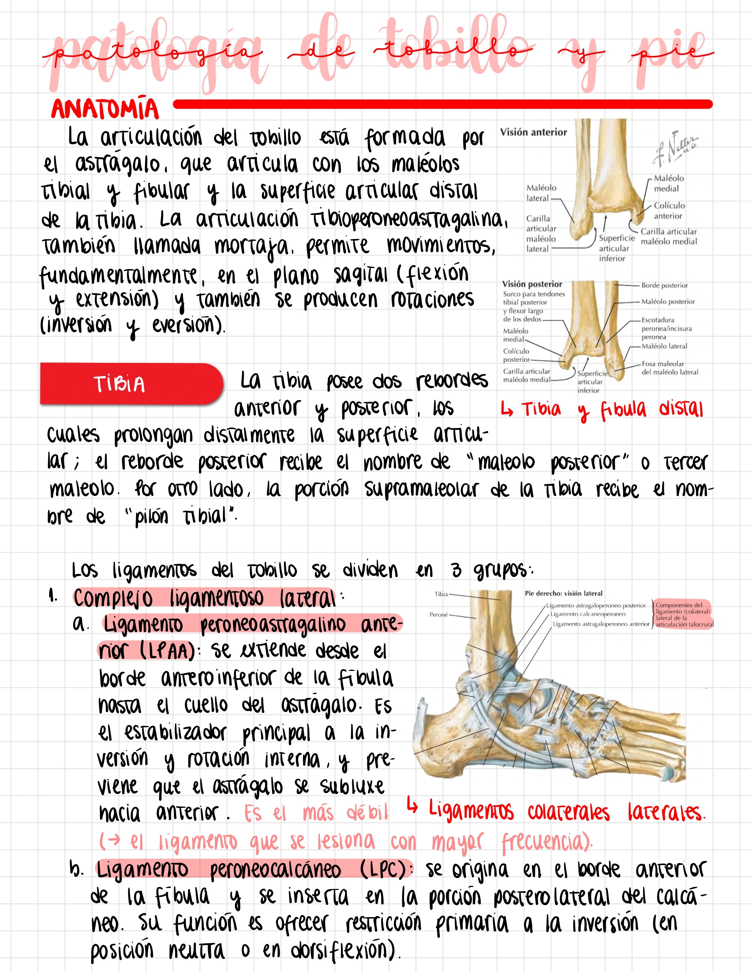 Cuaderno digital - Traumatología