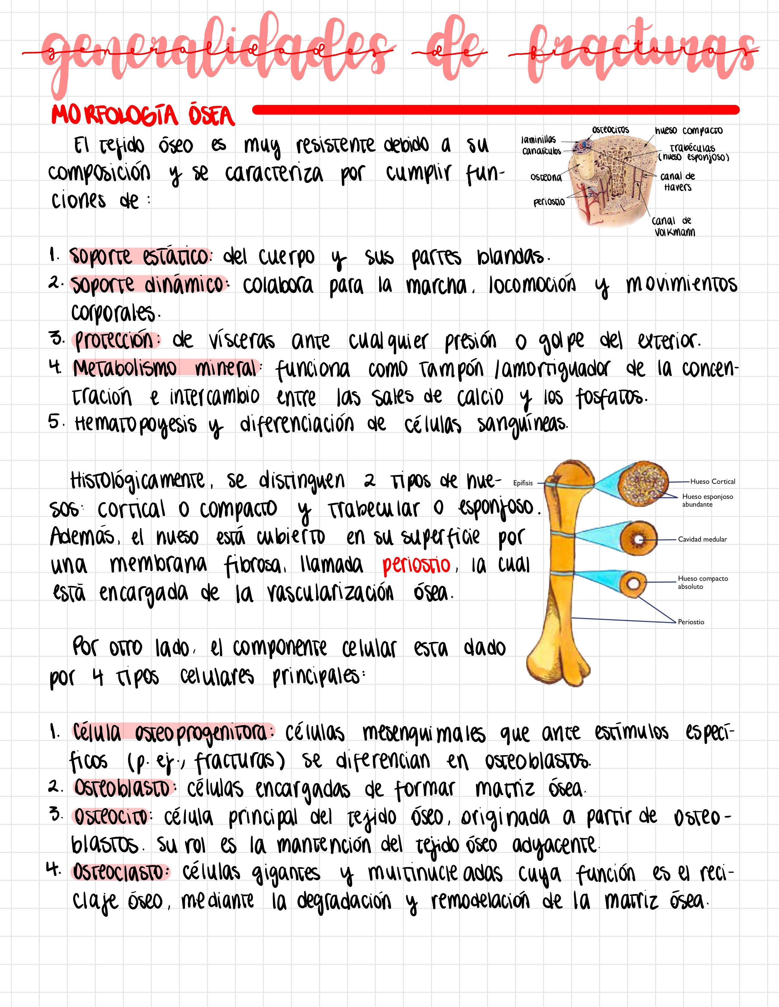 Libreta Digital : La Célula