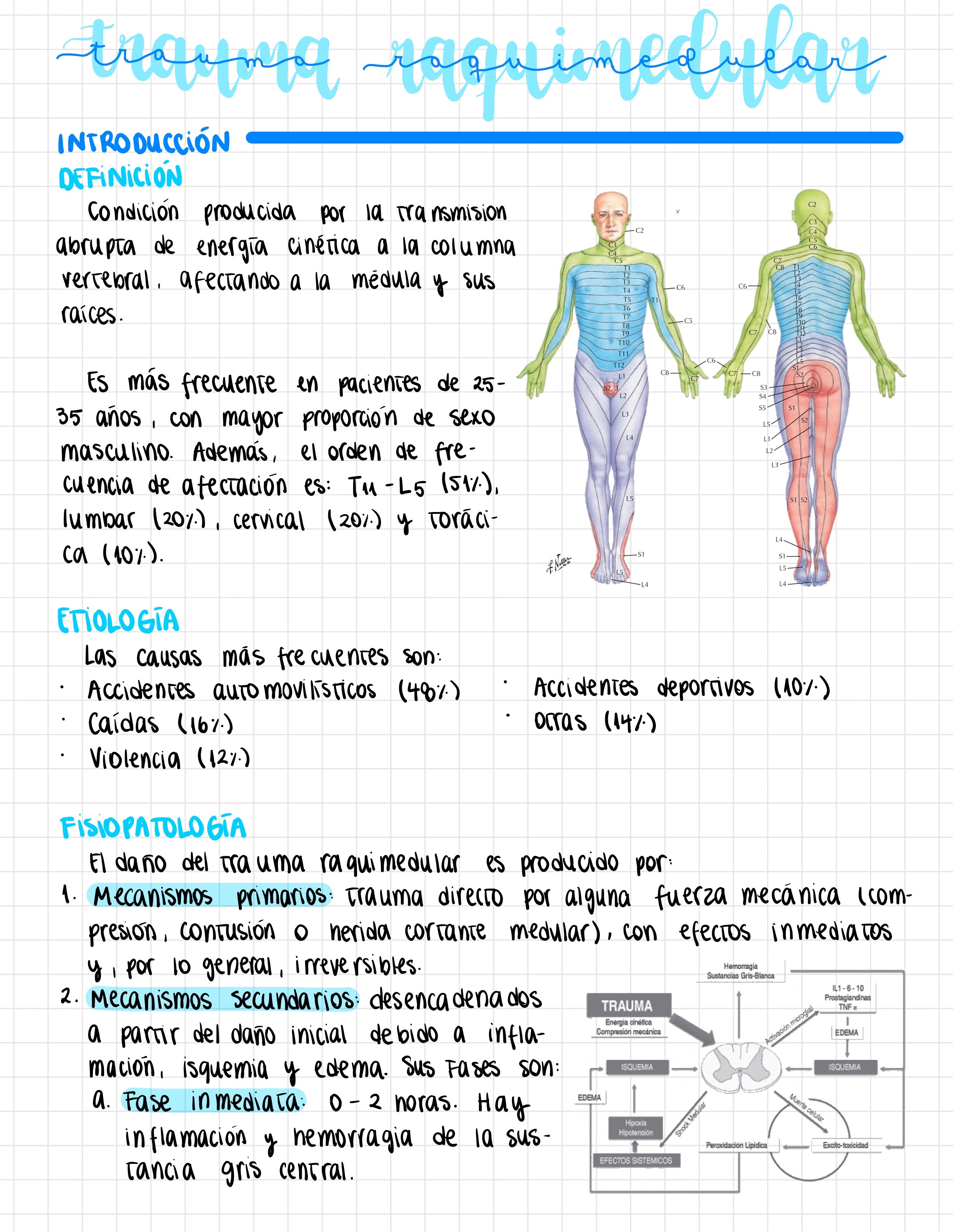 Cuaderno digital - Traumatología