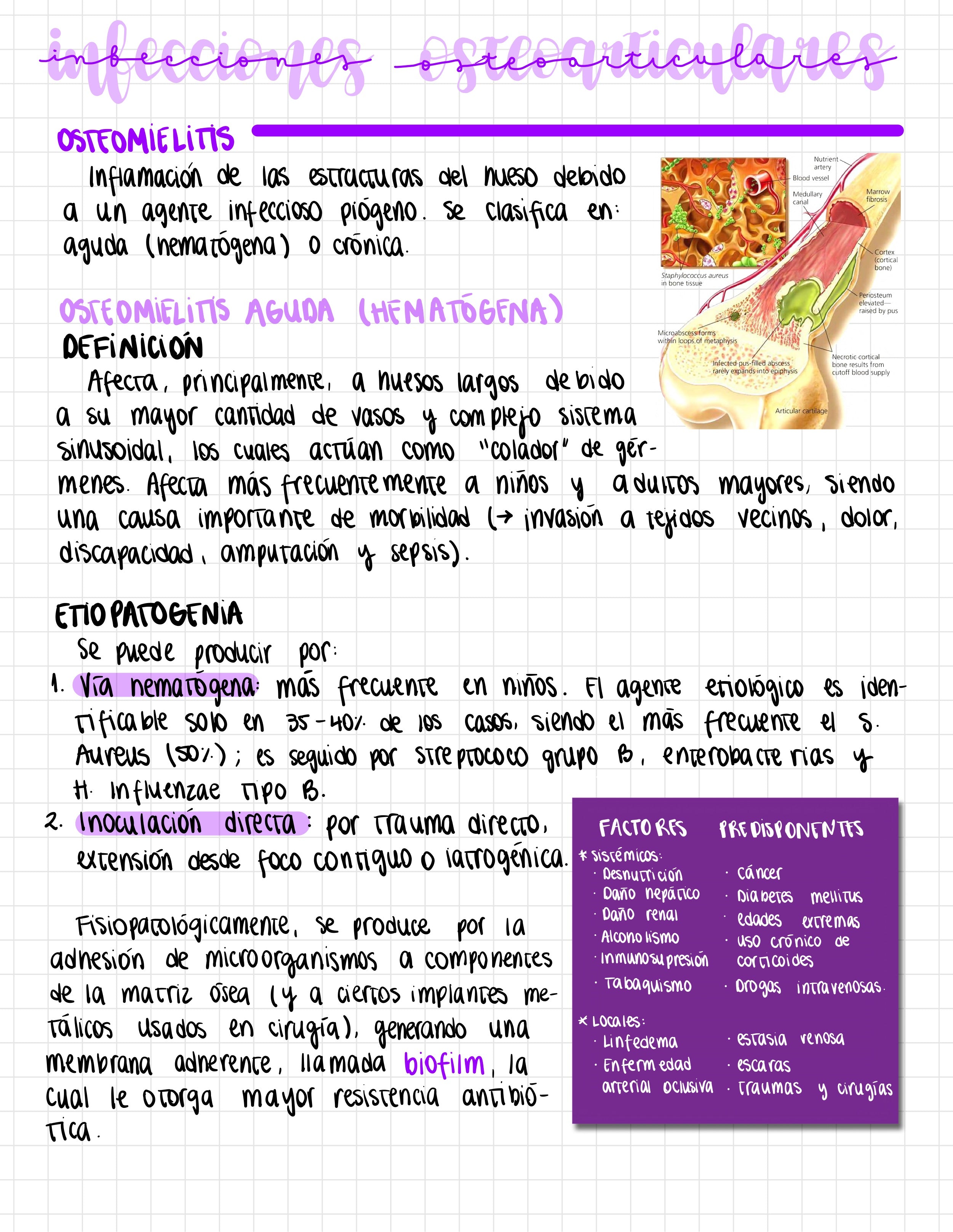 Cuaderno digital - Traumatología