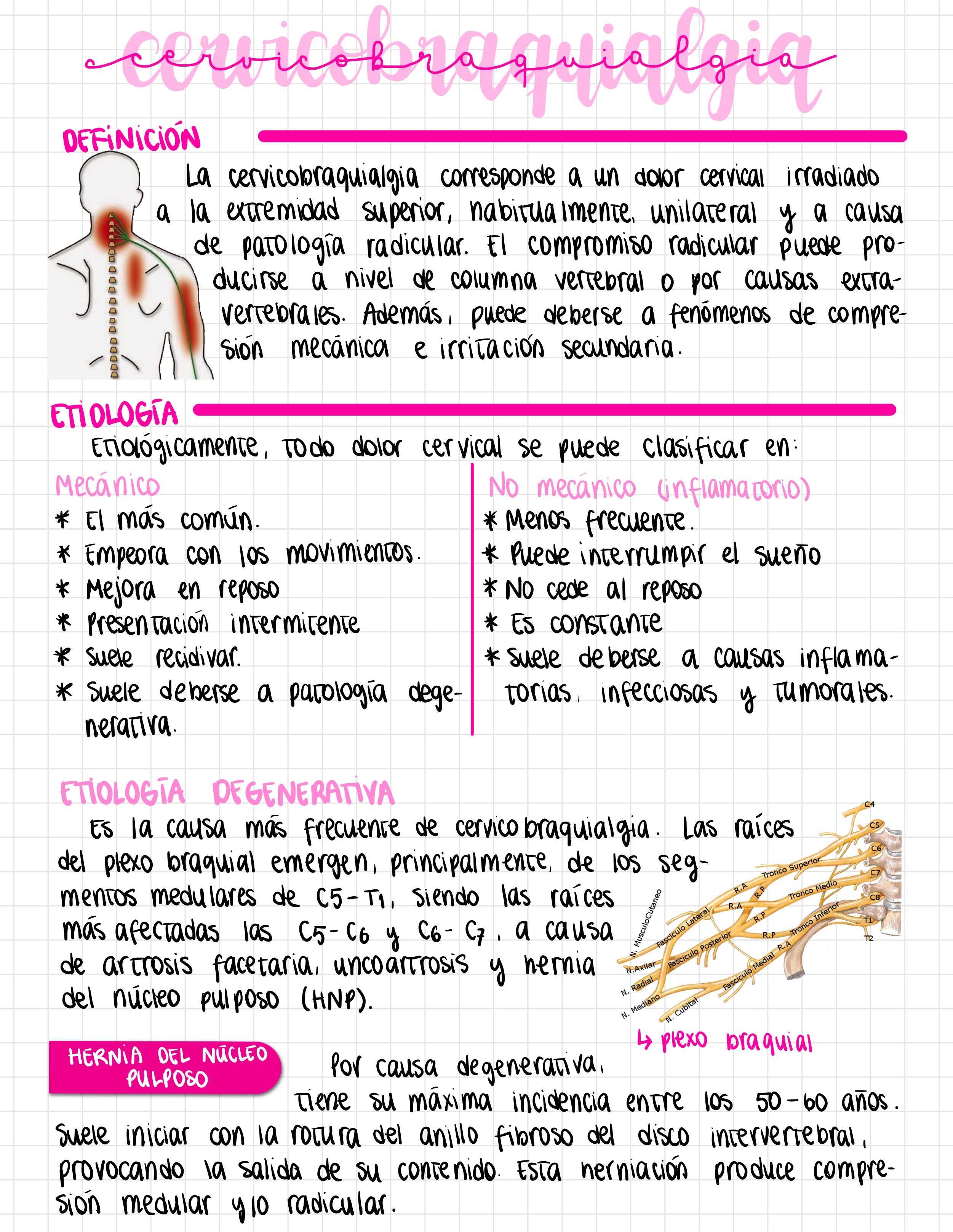 Cuaderno digital - Traumatología