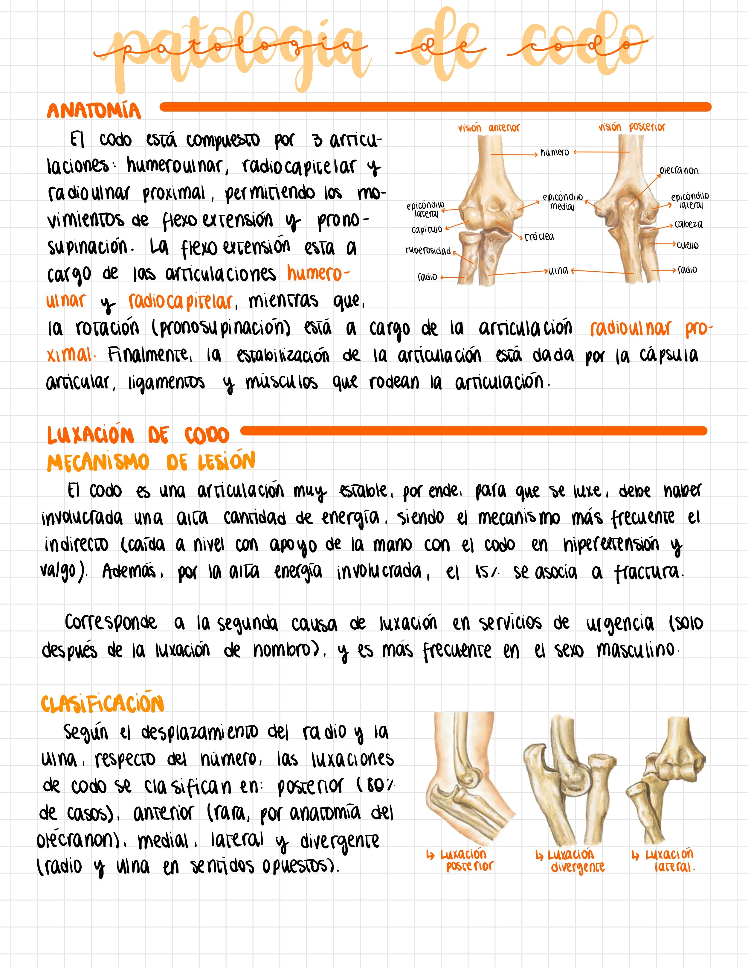 Cuaderno digital - Traumatología