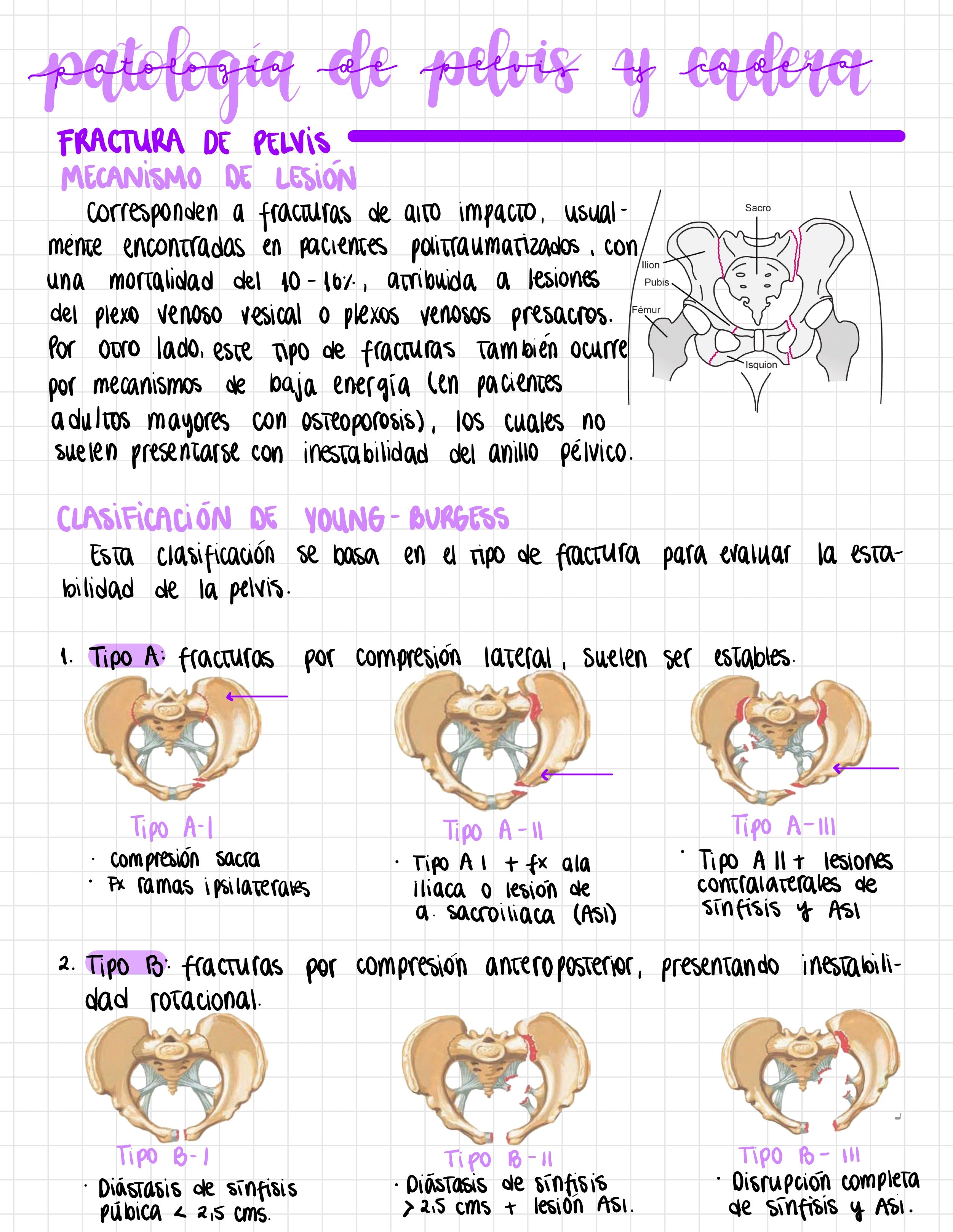 Cuaderno digital - Traumatología