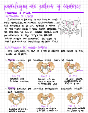 Cuaderno digital - Traumatología