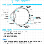 Cuaderno digital - Oftalmología