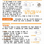 Cuaderno digital - Oftalmología