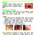 Cuaderno digital - Oftalmología