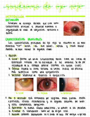 Cuaderno digital - Oftalmología