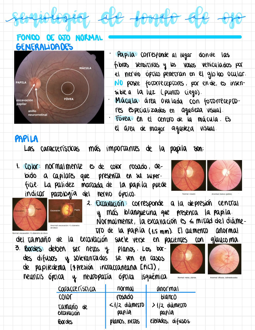 Cuaderno digital - Oftalmología