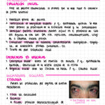 Cuaderno digital - Oftalmología