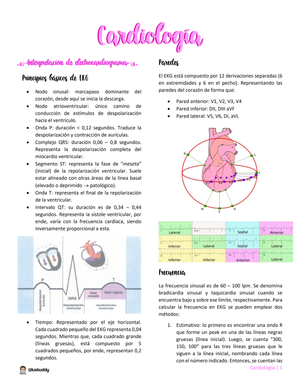 Apuntes Medicina Interna