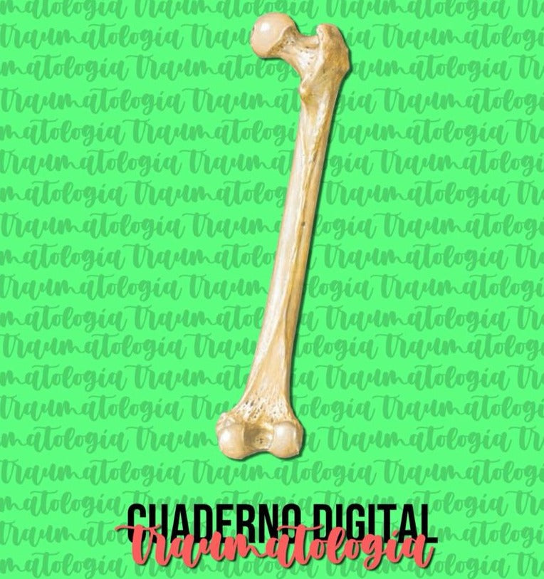 Cuaderno digital - Traumatología