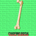 Cuaderno digital - Traumatología