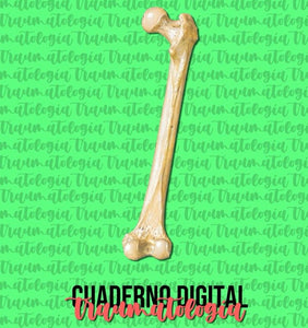 Cuaderno digital - Traumatología