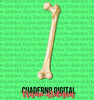 Cuaderno digital - Traumatología